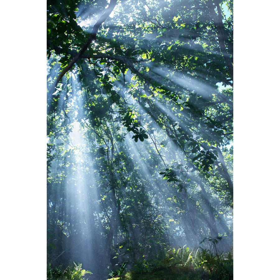 Konstfoto Lena Öritsland