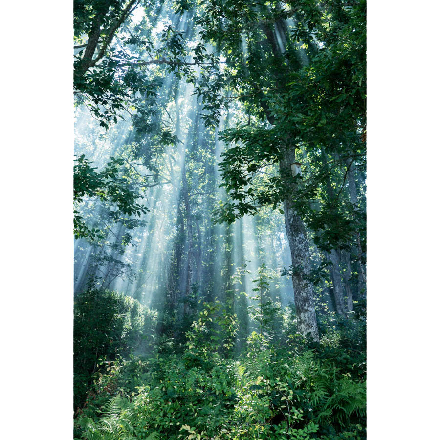 Konstfoto Lena Öritsland