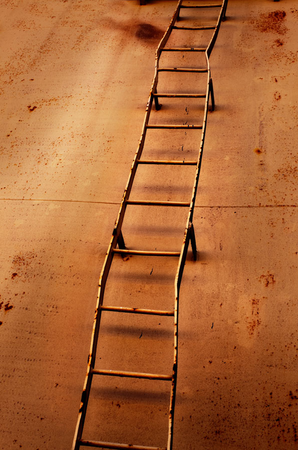 Lejdare - Konstfotograf Lena Öritsland